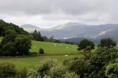 Across The Fields To Snowdonia Stock Image