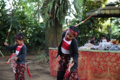 Action par les jeunes orphelins d'un cacao, d'un café et d'une plantation d'épice au village de Kalibaru dans Java Indonesia est photographie stock libre de droits Action par les jeunes orphelins d'un cacao, d'un café et d'une plantation d'épice au village de Kalibaru dans Java Indonesia est photographie stock libre de droits