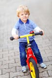 Active blond kid boy in colorful clothes driving balance and learner`s bike or bicycle in domestic garden. Toddler child stock image Active blond kid boy in colorful clothes driving balance and learner`s bike or bicycle in domestic garden. Toddler child stock image
