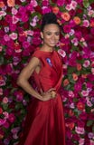 Lauren Ridloff at 2018 Tony Awards royalty free stock photos Lauren Ridloff at 2018 Tony Awards royalty free stock photos
