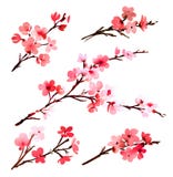 Acuarela con el árbol de la primavera en flor libre illustration Acuarela con el árbol de la primavera en flor libre illustration