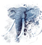Acuarela del retrato del elefante fotografía de archivo Acuarela del retrato del elefante fotografía de archivo