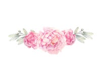 Acuarela rosada de la pendiente que pinta la flor penoy para casarse la decoración libre illustration Acuarela rosada de la pendiente que pinta la flor penoy para casarse la decoración libre illustration