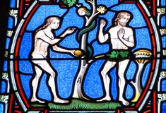 Adam and Eve on the stained glass window stock image Adam and Eve on the stained glass window stock image