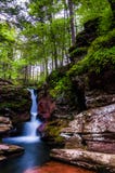 Adams nedgångar och högväxta träd i Ricketts Glen State Park royaltyfri foto Adams nedgångar och högväxta träd i Ricketts Glen State Park royaltyfri foto
