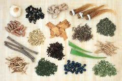 Adaptogen Zielarska pikantność i Jagodowa owoc zdjęcia stock Adaptogen Zielarska pikantność i Jagodowa owoc zdjęcia stock