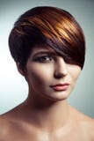 Adatti il ritratto di bella ragazza con capelli tinti colorati, coloritura di capelli professionale di scarsità fotografia stock Adatti il ritratto di bella ragazza con capelli tinti colorati, coloritura di capelli professionale di scarsità fotografia stock