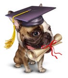 Addestramento di cani illustrazione vettoriale Addestramento di cani illustrazione vettoriale