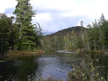 Adirondacks, See Durant, NY Stockbild