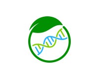 ADN verde Logo Icon Design ilustração do vetor ADN verde Logo Icon Design ilustração do vetor