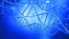 ADN ?tude de structure de g?ne de cellule Structure de mol?cule d'ADN illustration de la double h?lice 3D illustration de vecteur ADN ?tude de structure de g?ne de cellule Structure de mol?cule d'ADN illustration de la double h?lice 3D illustration de vecteur
