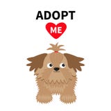 Adoptez-moi N'achetez pas Boîte de paquet de carton ouverte par intérieur de Shih Tzu Dog Adoption d'animal familier Coeur de rou Illustration Stock Adoptez-moi N'achetez pas Boîte de paquet de carton ouverte par intérieur de Shih Tzu Dog Adoption d'animal familier Coeur de rou Illustration Stock