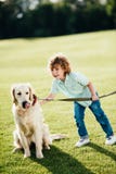 adorable little boy playing with golden retriever dog royalty free stock image adorable little boy playing with golden retriever dog royalty free stock image