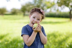 Adorable little preschool kid girl eating green apple on organic farm stock photography Adorable little preschool kid girl eating green apple on organic farm stock photography