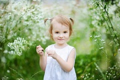 Adorable Toddler Girl In A Meadow Stock Image