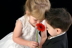 Adorable Young Children Smelling Daisy Together Royalty Free Stock Photo Adorable Young Children Smelling Daisy Together Royalty Free Stock Photo