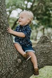 Adorably Happy And Cute Little Caucasian Toddler Baby Boy With Long Blond Hair Laughing, Smiling, Sitting, Climbing, And Playing I Royalty Free Stock Photos Adorably Happy And Cute Little Caucasian Toddler Baby Boy With Long Blond Hair Laughing, Smiling, Sitting, Climbing, And Playing I Royalty Free Stock Photos