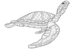 Adult coloring page turtle royalty free illustration Adult coloring page turtle royalty free illustration