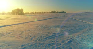 Aerial drone view of cold winter landscape with arctic field, trees covered with frost snow and morning sun rays over