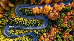 Aerial Drone View Of Winding Forest Road In The Middle Of Mountains. Colourful Landscape With Rural Road, Trees With Yellow Leaves Royalty Free Stock Images Aerial Drone View Of Winding Forest Road In The Middle Of Mountains. Colourful Landscape With Rural Road, Trees With Yellow Leaves Royalty Free Stock Images