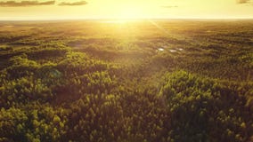 Aerial ecological forest sunset beautiful shot. Ideal background for forest conservation, save biology and nature