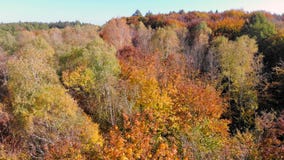 Aerial Footage View. Colored autumn trees. Flight over autumn mountains with forests, meadows and hills in sunset soft