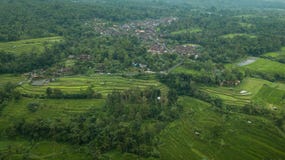 Aerial picture of a town surrounded by palms and rice terrace stock photography Aerial picture of a town surrounded by palms and rice terrace stock photography