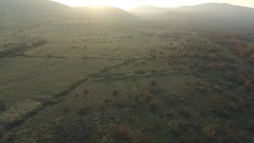 View of the setting sun over a beautiful green forest stock footage View of the setting sun over a beautiful green forest stock footage