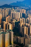Aerial Top View Of Hong Kong Downtown, Republic Of China. Financial District And Business Centers In Smart Urban City In Asia. Royalty Free Stock Photo