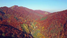 Aerial view of autumn colors Carpathians.