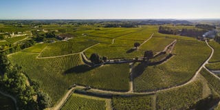 Aerial View, Bordeaux vineyards, Saint-Emilion, Gironde department, France royalty free stock image Aerial View, Bordeaux vineyards, Saint-Emilion, Gironde department, France royalty free stock image