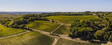Aerial View, Bordeaux vineyards, Saint-Emilion, Gironde department, France stock photography Aerial View, Bordeaux vineyards, Saint-Emilion, Gironde department, France stock photography