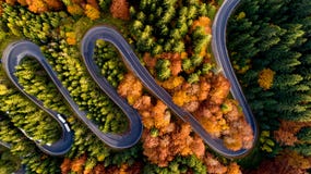Aerial view of forest road in beautiful autumn at sunset. Serpentine asphalt road details with colourful landscape, yellow trees