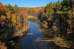 Aerial view of the pond and the bright yellow forest is reflect royalty free stock photography Aerial view of the pond and the bright yellow forest is reflect royalty free stock photography
