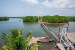 Aerial view, scenic landscape of mangrove forest, a group of tourists going over the suspension bridge over the river. Koh Kong, royalty free stock photos Aerial view, scenic landscape of mangrove forest, a group of tourists going over the suspension bridge over the river. Koh Kong, royalty free stock photos