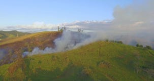 Aerial view smoke of wildfire. stock video footage Aerial view smoke of wildfire. stock video footage