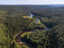 Aerial view of vast boreal aka taiga forest