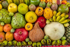 Affichage exotique de fruits photo libre de droits Affichage exotique de fruits photo libre de droits