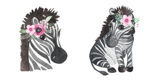 Africa watercolor animals Zebra clipart Hand painted cute animal set Perfect for Wallpaper printing packaging