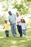 African American Grandparents With Grandchildren Walking In Park royalty free stock photos African American Grandparents With Grandchildren Walking In Park royalty free stock photos