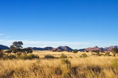 African savanna landscape Royalty Free Stock Photography African savanna landscape Royalty Free Stock Photography