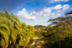 Afrikanische Landschaft mit Fluss und Palme stockbild Afrikanische Landschaft mit Fluss und Palme stockbild