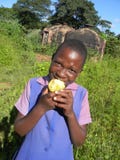 Afrikanisches Schulkind, das Wildfrüchte isst stockbild Afrikanisches Schulkind, das Wildfrüchte isst stockbild