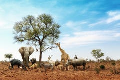 AfrikanSafari Animals Meeting Together Around träd Fotografering för Bildbyråer AfrikanSafari Animals Meeting Together Around träd Fotografering för Bildbyråer