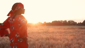 Afrikansk kvinna i traditionell kläder som står i ett fält av skördar på solnedgången eller soluppgång stock video Afrikansk kvinna i traditionell kläder som står i ett fält av skördar på solnedgången eller soluppgång stock video