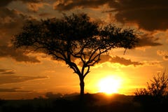 Afrikansk solnedgång. Tanzania Afrika royaltyfria bilder Afrikansk solnedgång. Tanzania Afrika royaltyfria bilder