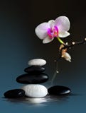 Agencement de zen de station thermale Photographie stock libre de droits Agencement de zen de station thermale Photographie stock libre de droits