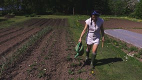 Aglio d'innaffiatura della donna Aglio d'innaffiatura della donna