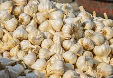 Aglio da vendere al mercato rurale fotografia stock Aglio da vendere al mercato rurale fotografia stock