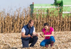 Agricoltori nei campi di grano durante il raccolto immagine stock Agricoltori nei campi di grano durante il raccolto immagine stock